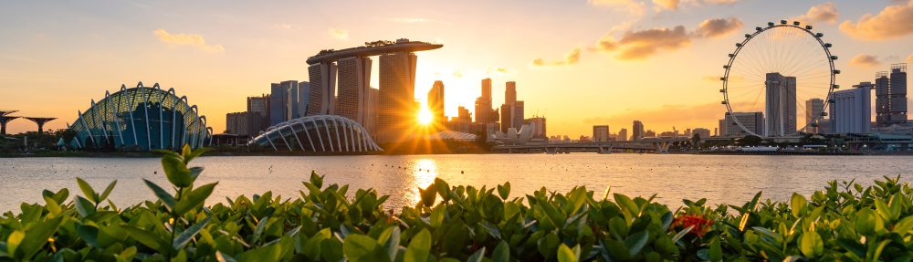 The Mechanical Trader